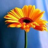 且享受诗与远方