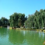 我试过握着你手