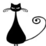 大鹏带你来看病