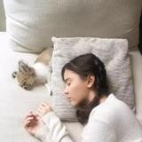明星凡尘
