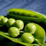 小小美食档