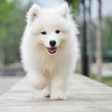 让我们一起享受历史