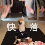 楼下万能的小黑