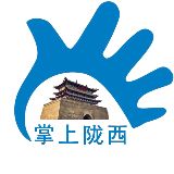 掌上陇西网络公司