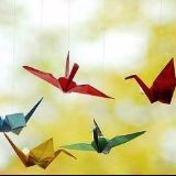 秋莲护肤小课堂