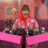 农村吴妈