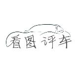看图评车