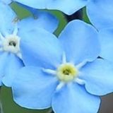 沈文德娱乐大咖