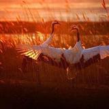 小波比的碎碎念