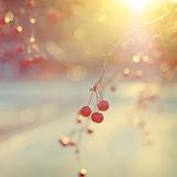 时尚搭配少女馆