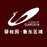 碧桂园鲁东区域