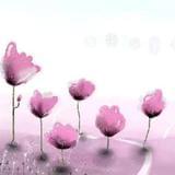 回眸一笑可倾天下