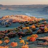 语欣陪你聊世界