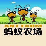 蚂蚁农场