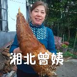 湘北曾姨