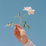 中年少女购物史