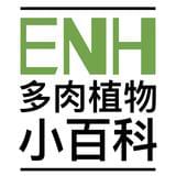 ENH多肉植物小百科