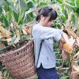 川妹小圆子