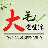 大毛love生活