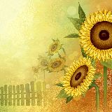 他彩色中带悲愤