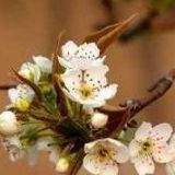 终于错过的美食