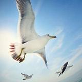 微微视角很倾城