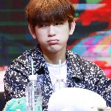 小球的爱豆分享