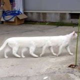 搞笑的有毒动漫