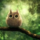 视觉系潮流插画