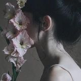 花半石