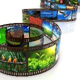 默姐带你看娱乐