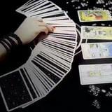 塔罗牌占卜师青树