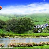 乖乖娱乐小分队