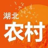 湖北农村