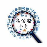 名侦探小毛