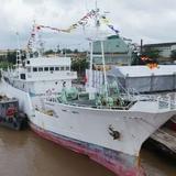 说笑说笑乐一乐