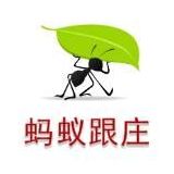 蚂蚁跟庄