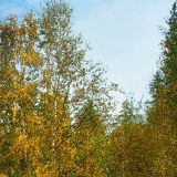 欧阳小村村侃侃娱乐