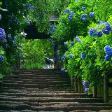 美人的条件达人