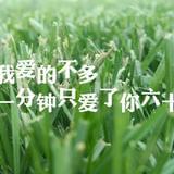 日常美好放映机