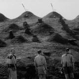 电影忍者的幕府