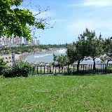 四处游荡的皮皮