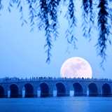 八月中秋九月节