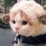 戏谈帮