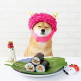 小站生活吧