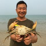 玉平赶海