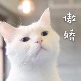 娱乐八卦抢先知道