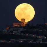 南姨陪你看月亮