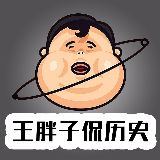 王胖子侃历史