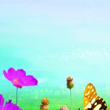 华雨筠娱乐大咖